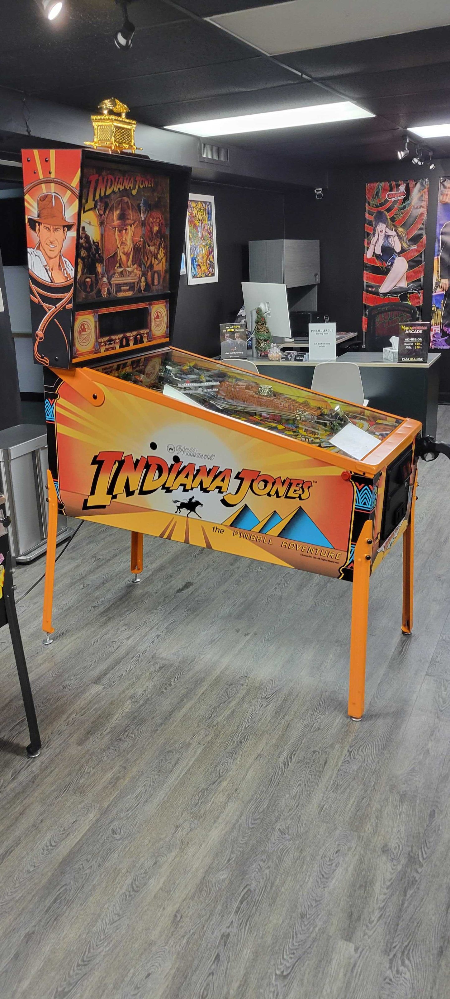 Indiana Jones Pinball Adventure Pinball Machine [USED] [DEPOSIT]